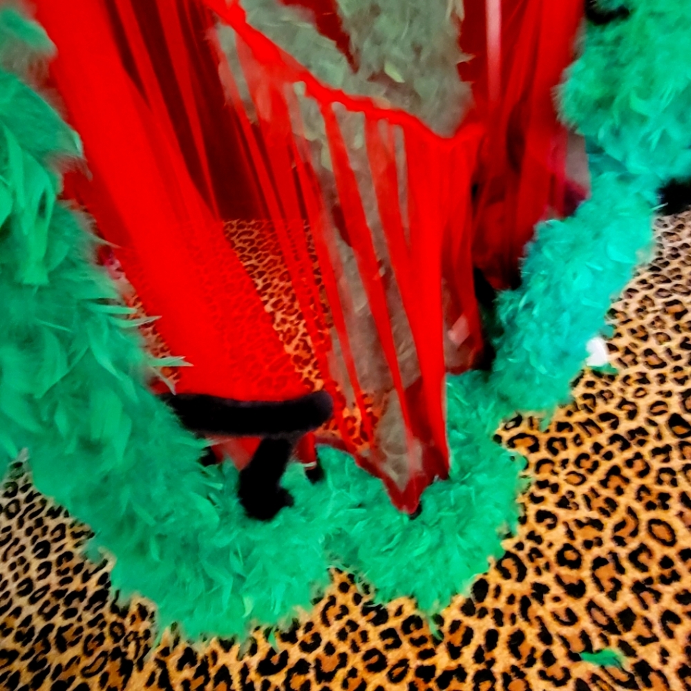 ❤💚Glamorous Tulle Robe💚❤️ - Picture 4 of 8